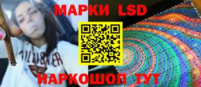 гидропоника Краснознаменск