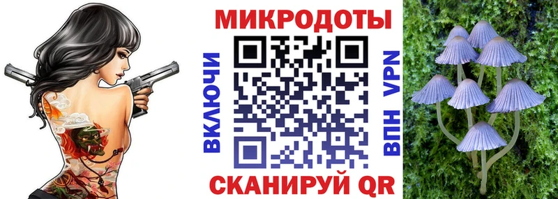 купить закладку  MEGA как войти  Псилоцибиновые грибы ЛСД  Кандалакша 