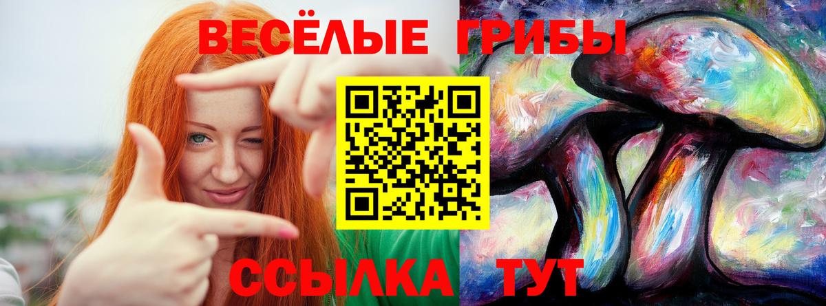 Кандалакша  Галлюциногенные грибы мухоморы  Вход с VPN 