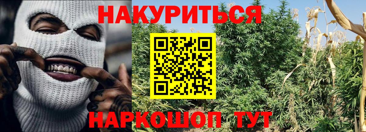Бошки Шишки ГИДРОПОН Кандалакша
